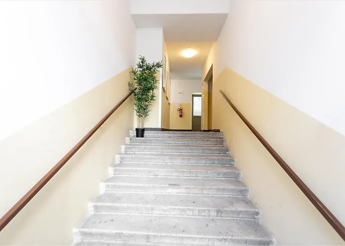 Wiener Eleganz L Lf33